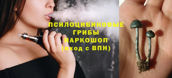 винт Абаза