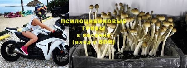 2c-b Абинск
