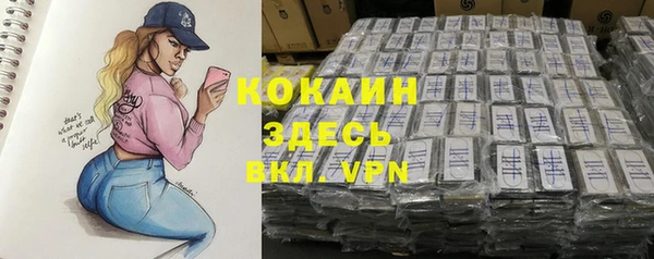винт Абаза