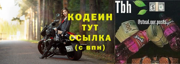 винт Абаза