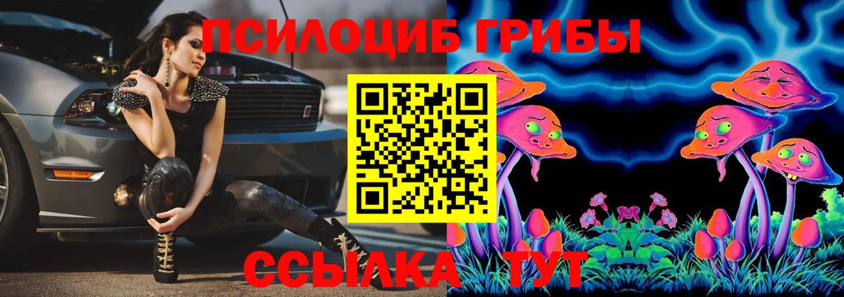 Галлюциногенные грибы GOLDEN TEACHER  Вход с VPN  Стерлитамак 