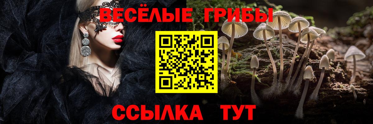 Галлюциногенные грибы мицелий Стерлитамак